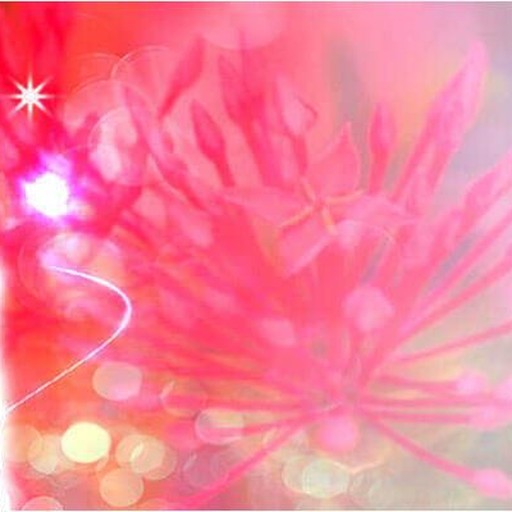蒼澄(アズミ)