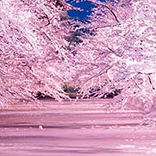 聖子